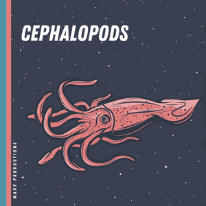 Cephalopods