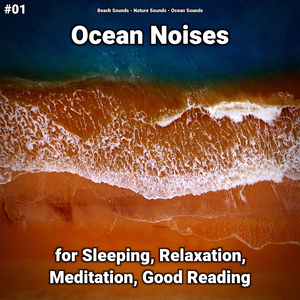 Ocean Noises Pt. 75