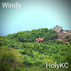 Windy