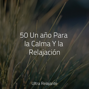 Perdido en El Paraíso