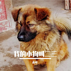 我的小狗叫二三
