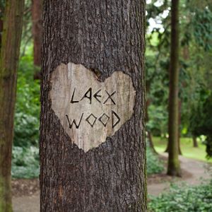 Laexwood