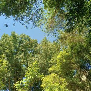 你要相信 自己配得上一切美好。