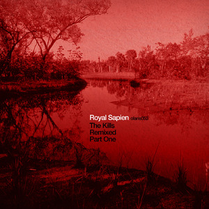 The Kills (Indicant Remix)