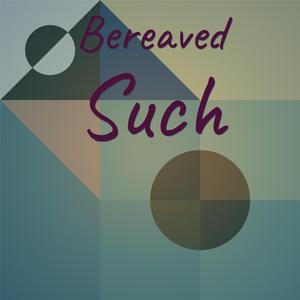 Somewhat Superheroes