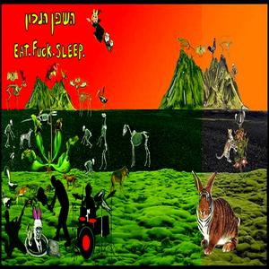 Gveret Pilpelet