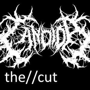 the//cut
