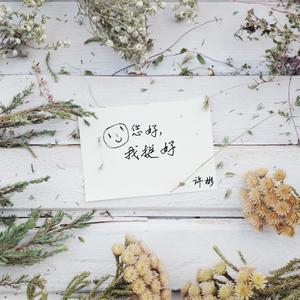 花儿一样的人 (新短版)