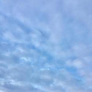 五十岁离家出走的女人（violin ver.）