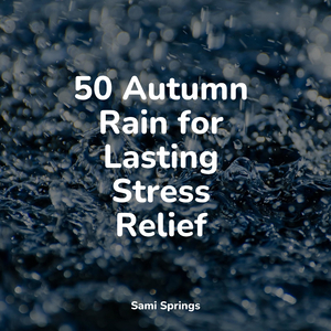 Windy, Rainy Streets