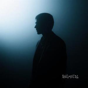 别说对不起 (Cover S.H.E)