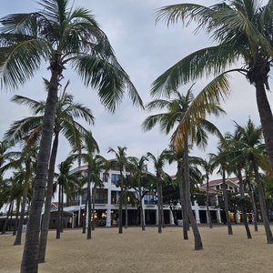 最痛的不是得不到而是差一点就能拥有