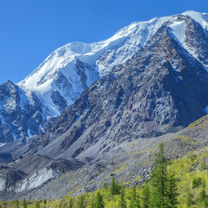 भायेलो बदमाश