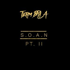 S.O.A.N Pt.II (Shit On All You Niggaz)