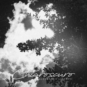 The Light that Guides You