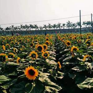 快乐就出去玩难过也出去玩