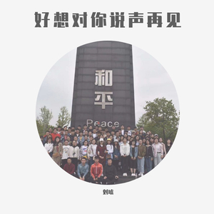 好想对你说声再见