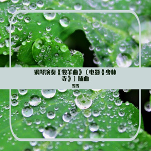 钢琴演奏《牧羊曲》（电影《少林寺》）插曲，唤起美好的记忆