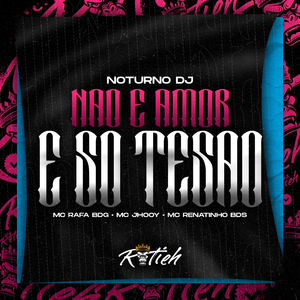 NÃO É AMOR É SÓ TESÃO