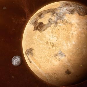 Victim Of Your Folly