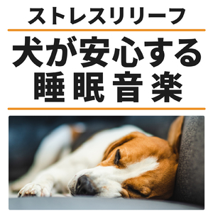 ワンちゃんの安らぎ音楽