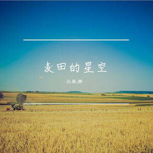 麦田的星空