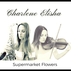 Supermarket Flowers