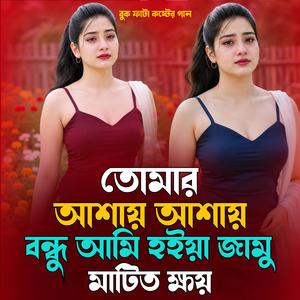 তোমার আশায় আশায় বন্ধু আমি হইয়া জামু মাটিত ক্ষয় (Male Version)