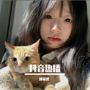 黑暗骑士（钢琴版）