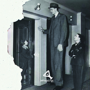 Distorted (Original Mix)