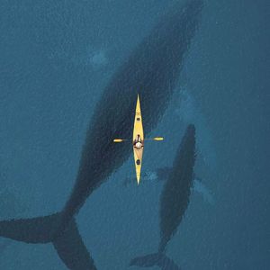 喊麦之王，大雨还在下，穿越火线，冰河时代