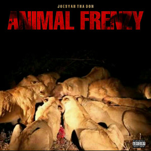 Animal Frenzy