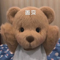 沙漠骆驼 (DJ火山版)