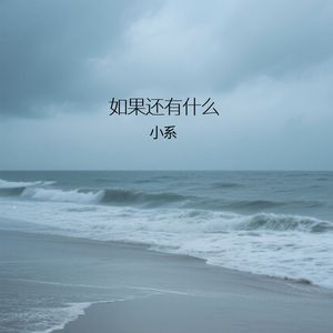 如果还有什么