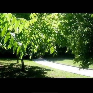 人到底能感受多少回夏天