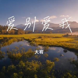 爱别爱我