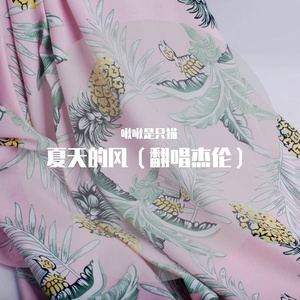 夏天的风（翻唱）