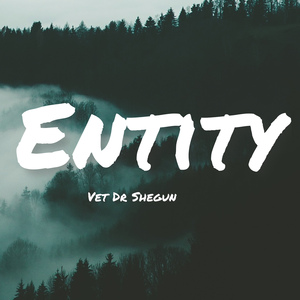 Entity