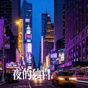 夜的独白