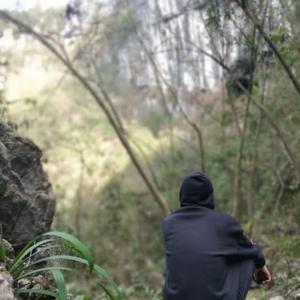 没有我的世界你好吗Demo