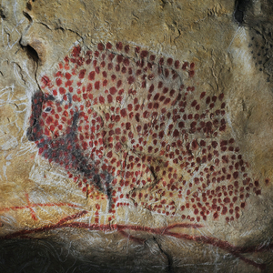 J'habite une blessure