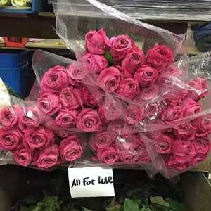 meet（Prod. CTY2P）