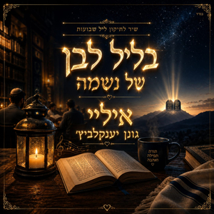 בליל לבן של נשמה