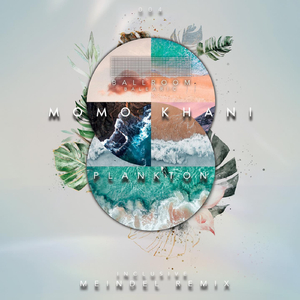 Plankton (Meindel Remix)