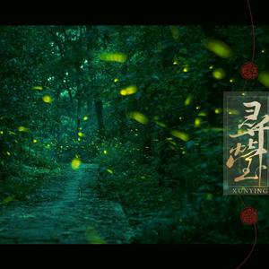 寻萤·剧情版（《东宫》同人歌）