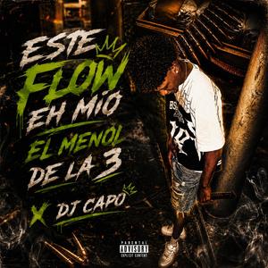 ESTE FLOW EH MIO X DJ CAPO