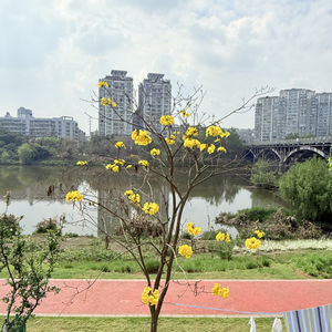 送花（写给爷爷的歌）