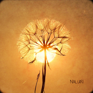 Naluri (Instrumental)