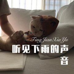 大约别离时 (DJ版)