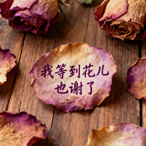 我等到花儿也谢了